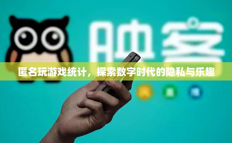 數(shù)字時代下的隱私與樂趣，匿名玩游戲的統(tǒng)計探索