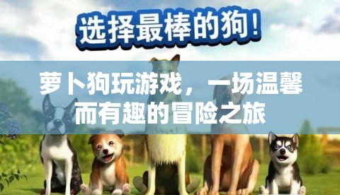 蘿卜狗溫馨冒險(xiǎn)之旅