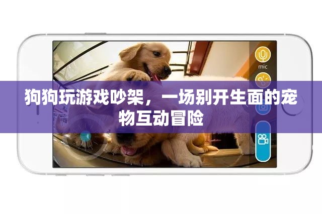 狗狗吵架背后的寵物互動(dòng)冒險(xiǎn)，一場(chǎng)別開生面的游戲盛宴