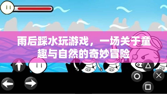 雨后踩水，一場(chǎng)童趣與自然的奇妙冒險(xiǎn)