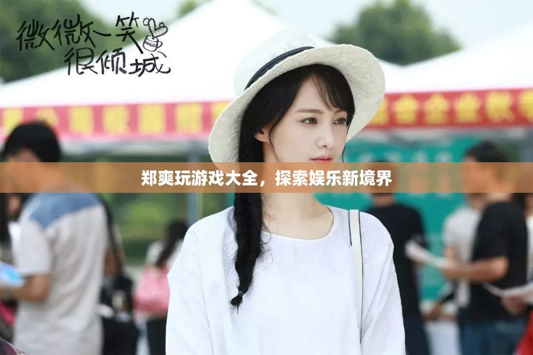 鄭爽游戲大全，探索娛樂新境界