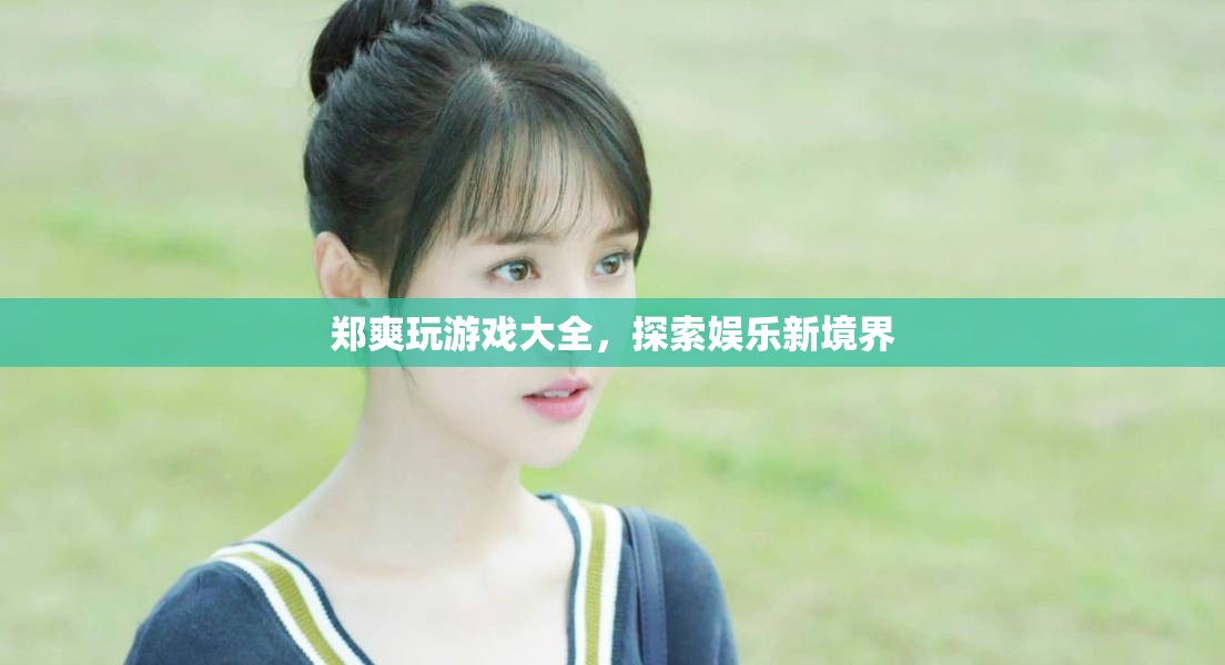 鄭爽游戲大全，探索娛樂新境界