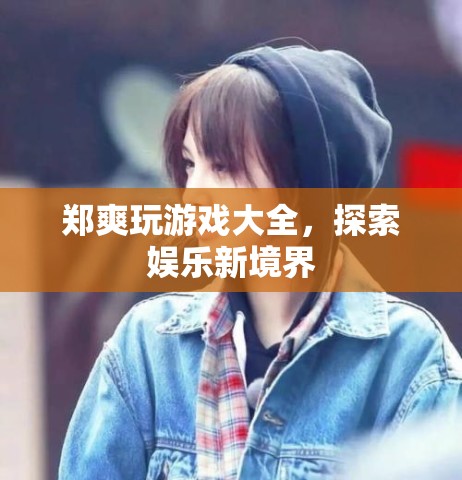鄭爽游戲大全，探索娛樂新境界