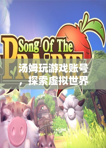 湯姆的虛擬世界之旅，探索游戲賬號(hào)的奇妙冒險(xiǎn)