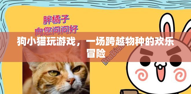 狗貓歡樂冒險(xiǎn)，跨越物種的友誼