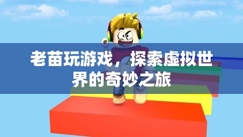 老苗的奇妙虛擬世界之旅  第1張