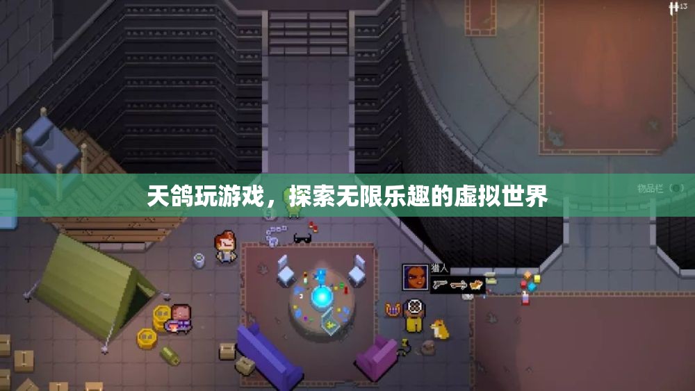 天鴿帶你探索虛擬世界的無限樂趣