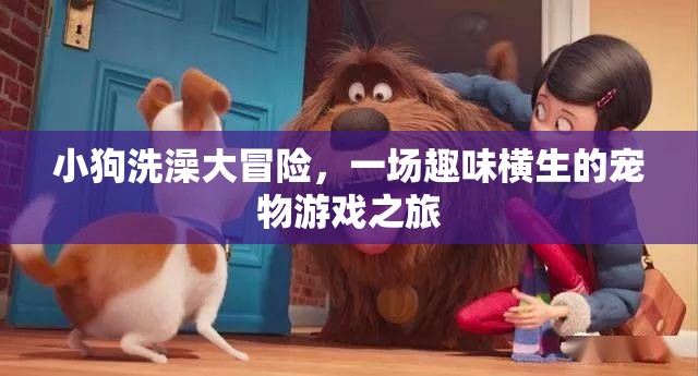 小狗洗澡大冒險(xiǎn)，寵物游戲之旅趣味橫生