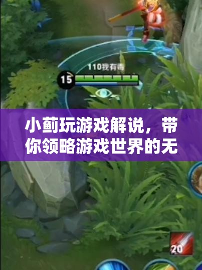 小薊游戲解說，帶你領(lǐng)略游戲世界的魅力  第3張