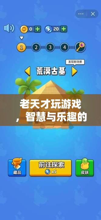 老天才的游戲，智慧與樂(lè)趣的奇妙碰撞