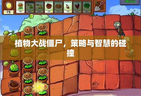 植物大戰(zhàn)僵尸，策略與智慧的較量