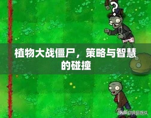 植物大戰(zhàn)僵尸，策略與智慧的較量