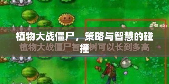 植物大戰(zhàn)僵尸，策略與智慧的較量
