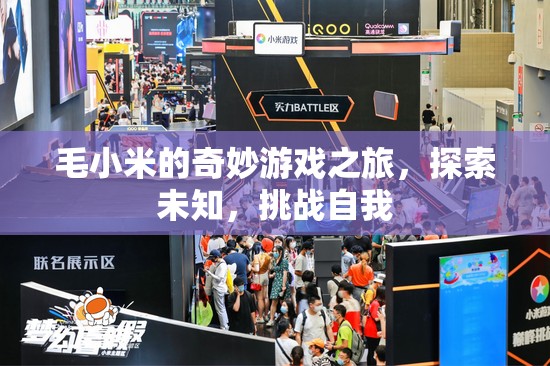 毛小米的奇妙游戲之旅，探索未知，挑戰(zhàn)自我