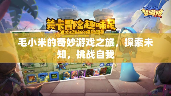 毛小米的奇妙游戲之旅，探索未知，挑戰(zhàn)自我