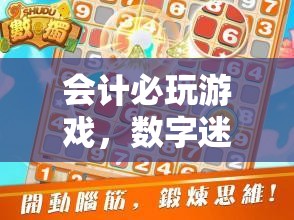 會計(jì)必玩游戲，數(shù)字迷宮的智慧之旅