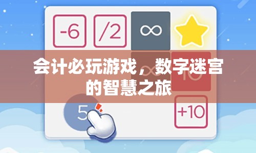 會計(jì)必玩游戲，數(shù)字迷宮的智慧之旅