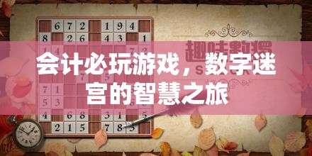 會計(jì)必玩游戲，數(shù)字迷宮的智慧之旅