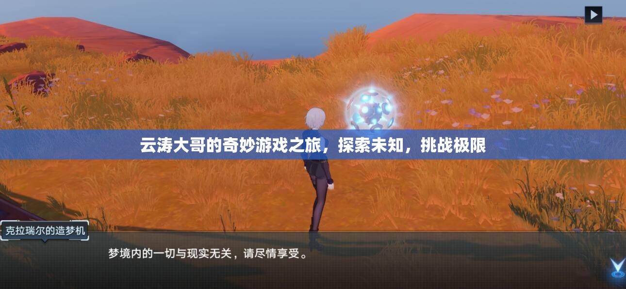 云濤大哥的奇妙探險(xiǎn)，挑戰(zhàn)極限，探索未知的游戲之旅