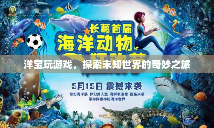 洋寶游戲，探索未知世界的奇妙之旅