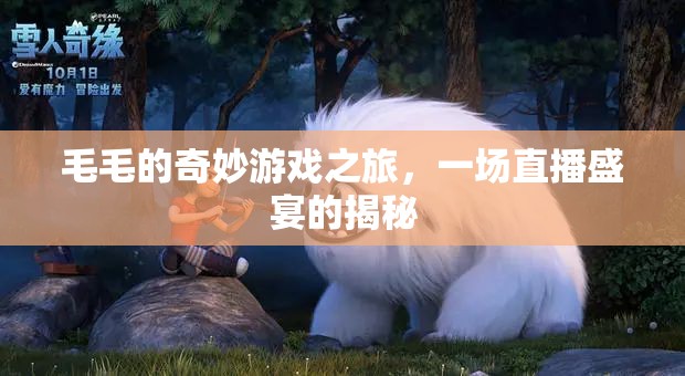 毛毛的奇妙游戲之旅，揭秘直播盛宴的幕后
