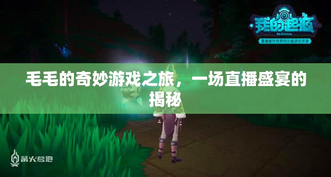 毛毛的奇妙游戲之旅，揭秘直播盛宴的幕后