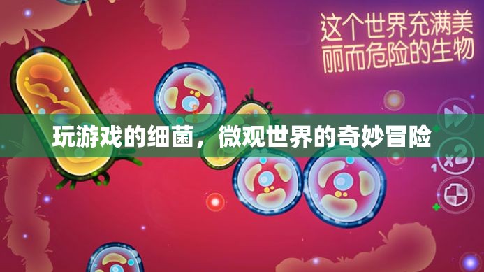 細菌在微觀世界的游戲之旅
