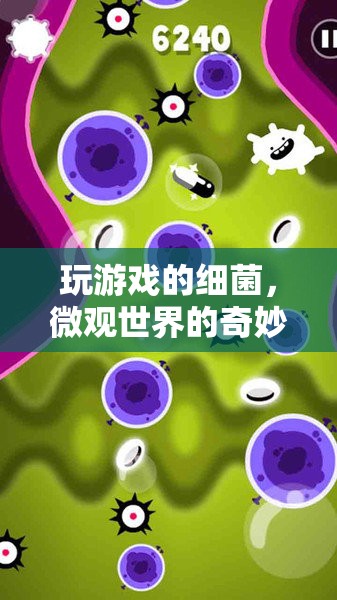 細菌在微觀世界的游戲之旅
