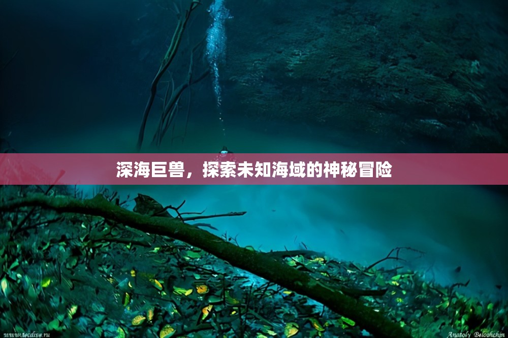 深海巨獸，探索未知海域的神秘冒險