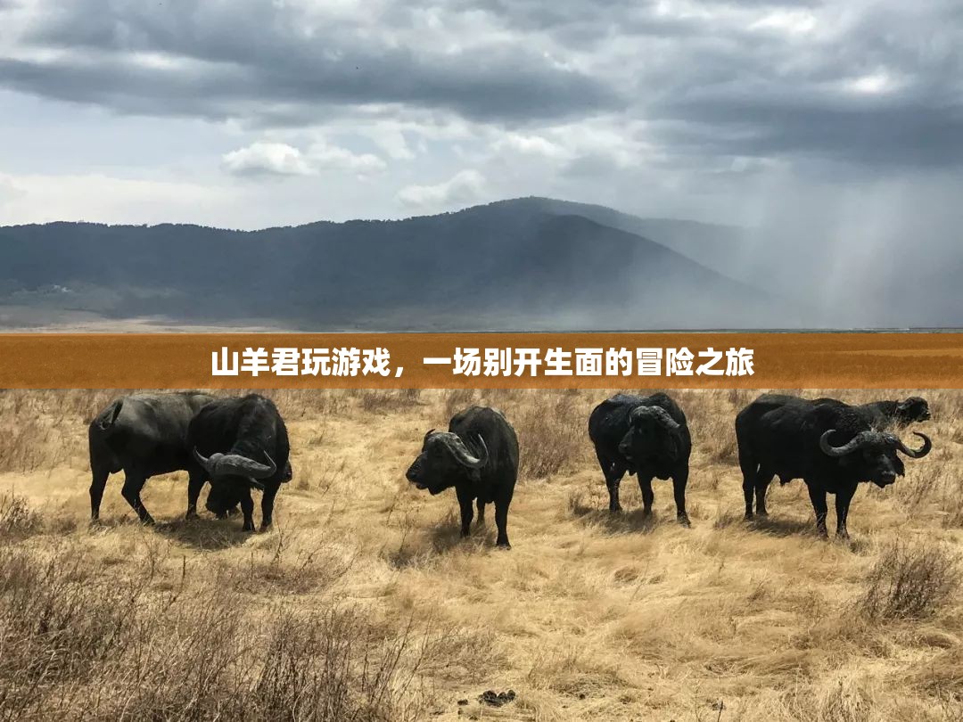山羊君的冒險(xiǎn)游戲之旅