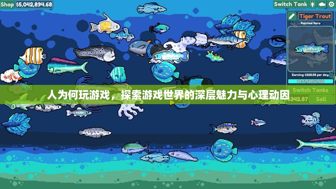 探索游戲世界的深層魅力，人為何玩游戲及其心理動(dòng)因