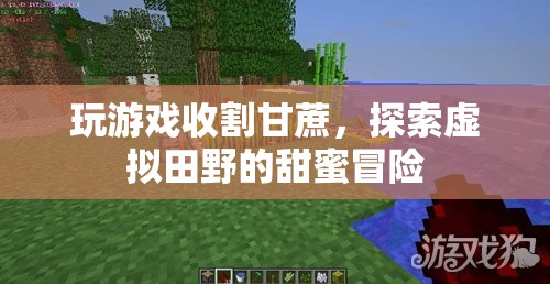 虛擬田野的甜蜜冒險(xiǎn)，收割甘蔗，探索游戲世界
