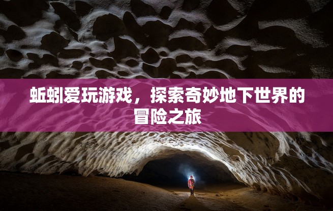 蚯蚓的奇妙冒險(xiǎn)，探索地下世界的游戲之旅