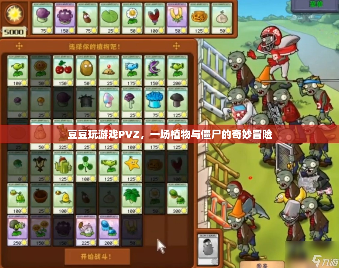 豆豆的PVZ冒險(xiǎn)，植物與僵尸的奇妙對(duì)決