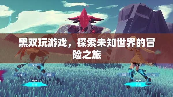 黑雙玩游戲，探索未知世界的冒險(xiǎn)之旅