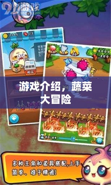 蔬菜大冒險，一場充滿驚喜的冒險之旅