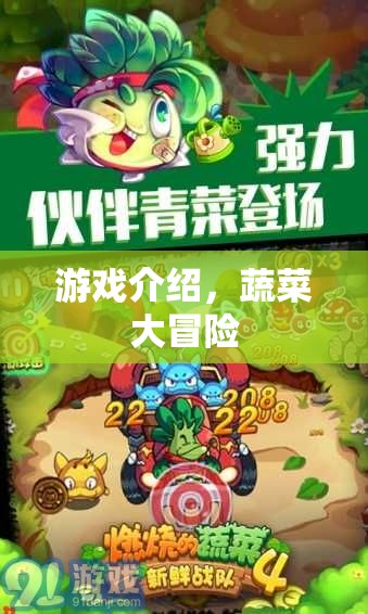 蔬菜大冒險，一場充滿驚喜的冒險之旅