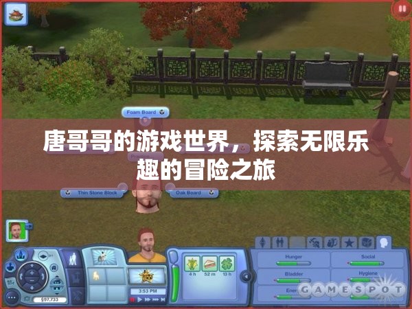 唐哥哥的游戲世界，探索無限樂趣的冒險之旅
