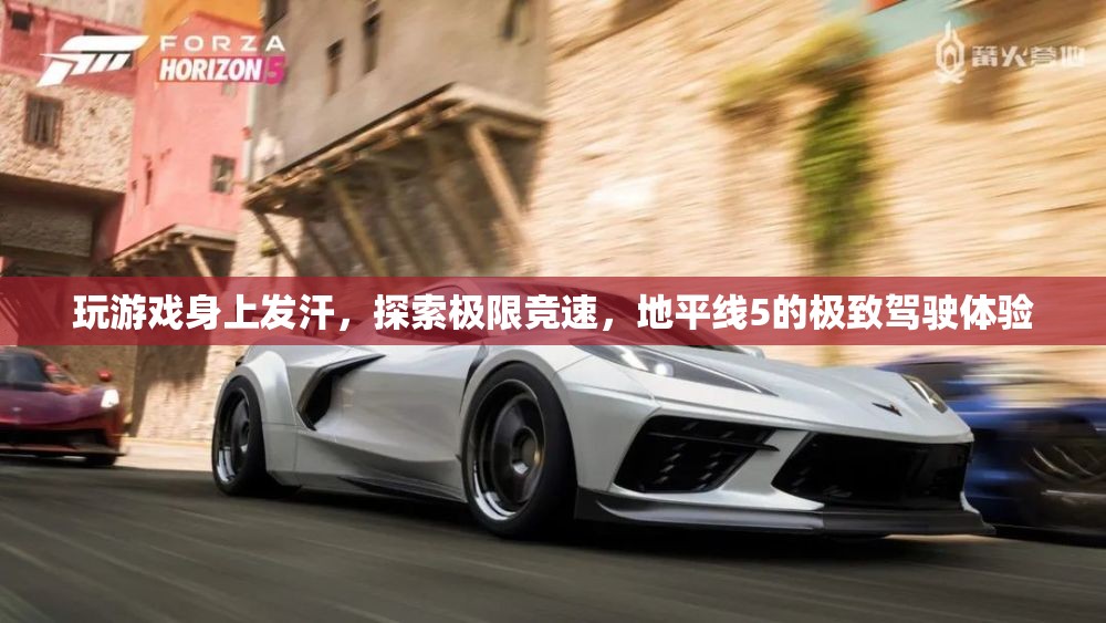 地平線5極致駕駛體驗(yàn)，競(jìng)速極限，汗水與激情的碰撞