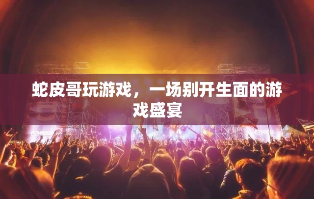 蛇皮哥游戲盛宴，獨(dú)特體驗，精彩紛呈