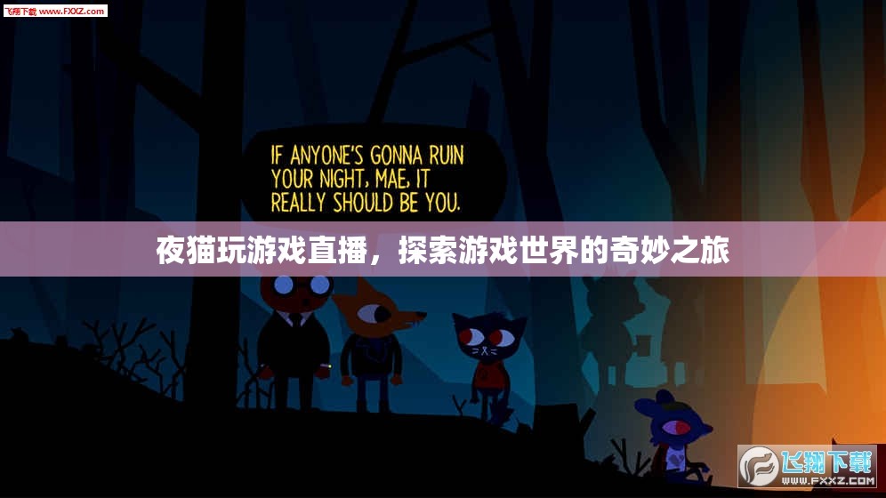 夜貓?zhí)剿饔螒蚴澜?，奇妙之旅的直播盛? 第1張