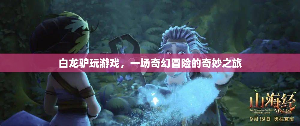 白龍?bào)H的奇幻冒險(xiǎn)之旅