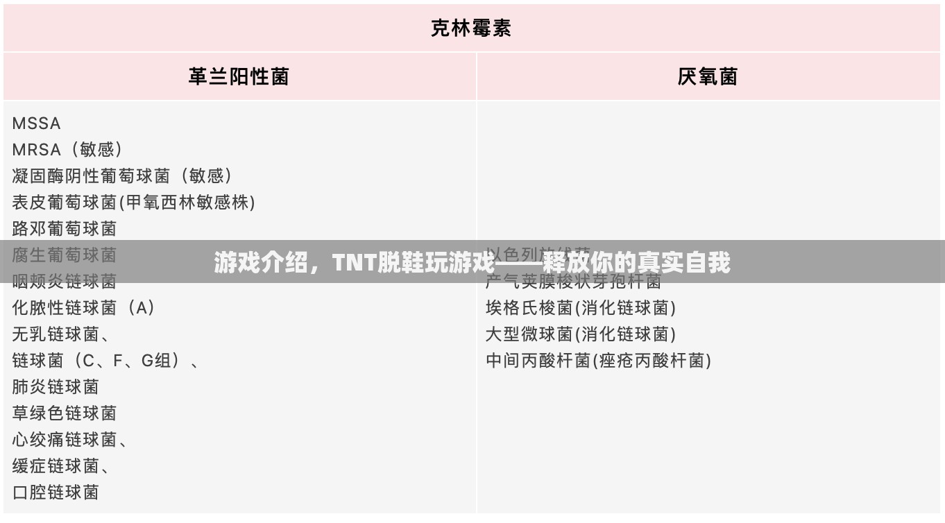 TNT脫鞋玩游戲，釋放真實(shí)自我