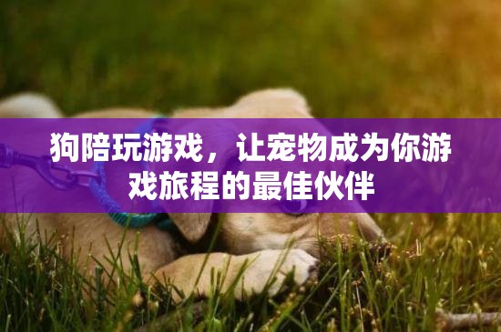 狗狗陪你玩游戲，寵物成為游戲旅程的最佳伙伴
