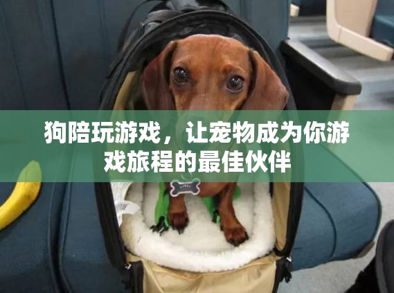 狗狗陪你玩游戲，寵物成為游戲旅程的最佳伙伴