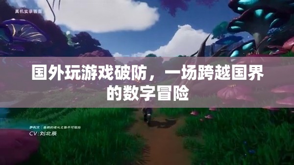 國外玩家破防，一場跨越國界的數(shù)字冒險之旅