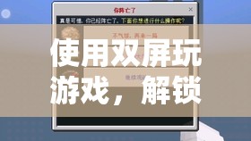 雙屏游戲，解鎖新境界，暢享游戲新體驗(yàn)