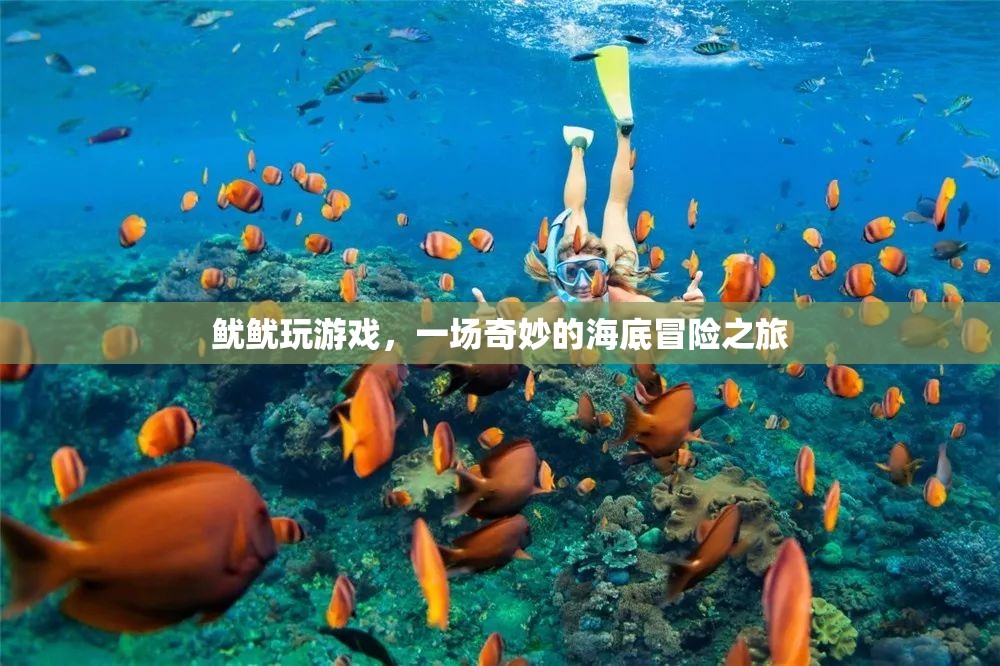 魷魷海底冒險，奇妙游戲之旅