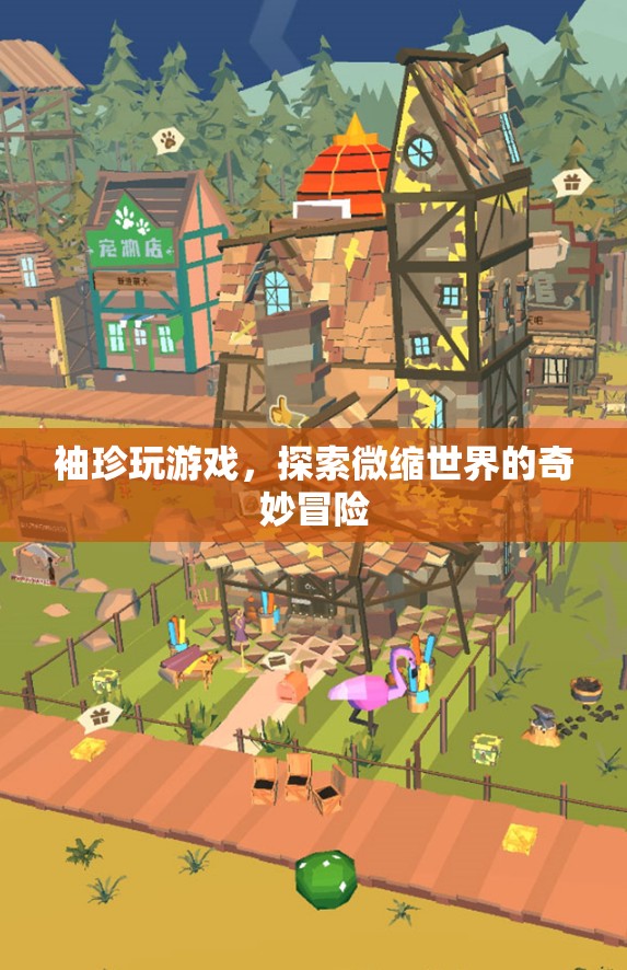 袖珍游戲，探索微縮世界的奇妙冒險(xiǎn)