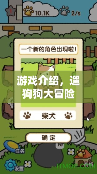 遛狗狗大冒險(xiǎn)，趣味橫生的寵物冒險(xiǎn)之旅